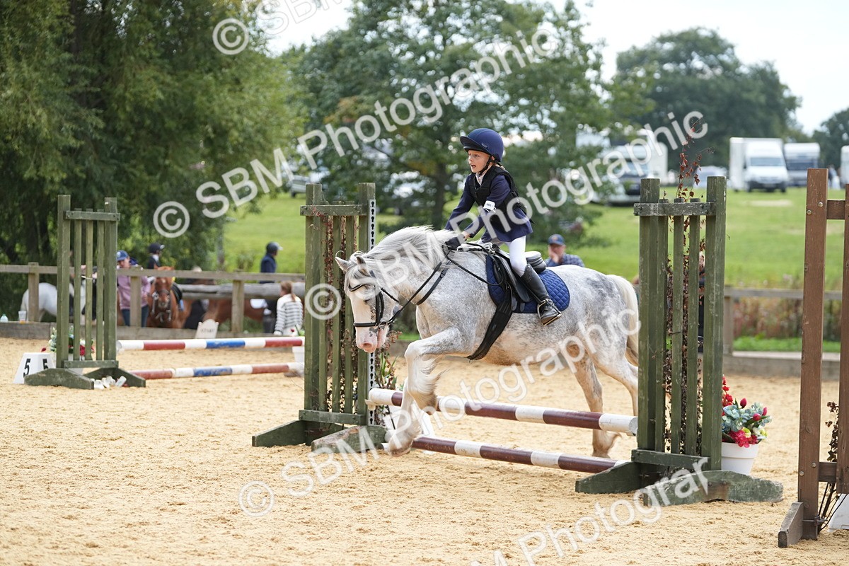 SBM_74728 - J4 - Mini Tour Junior Pony 45cm Championship