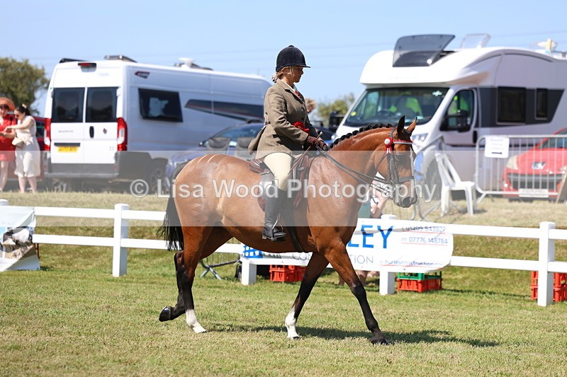 3E7A7456 - Rising Star Ridden Championship