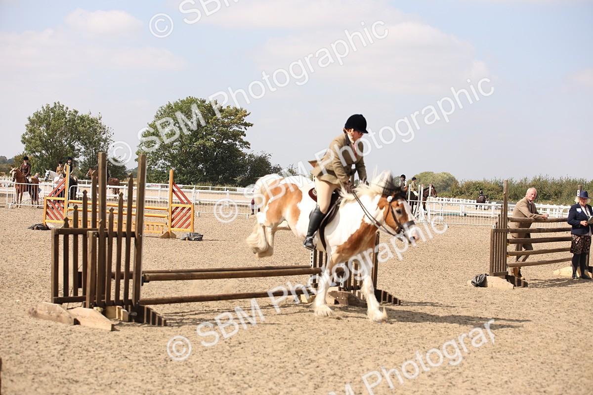 SBM_14294 - Class 407b - Working Veteran 60cm (20+)