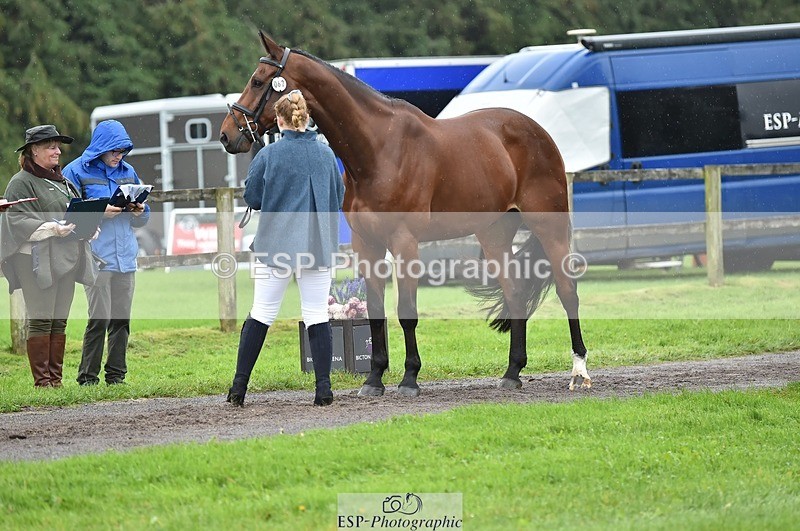 231018-124620-00505 - 062-CLASS.ROMANCE-Eleanor.Hope-TrotUp