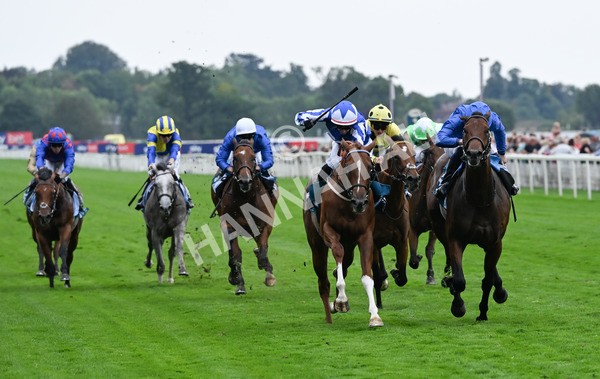 230825-247 Revival Power - Race 6 4.45pm Julia Graves Roses Stakes