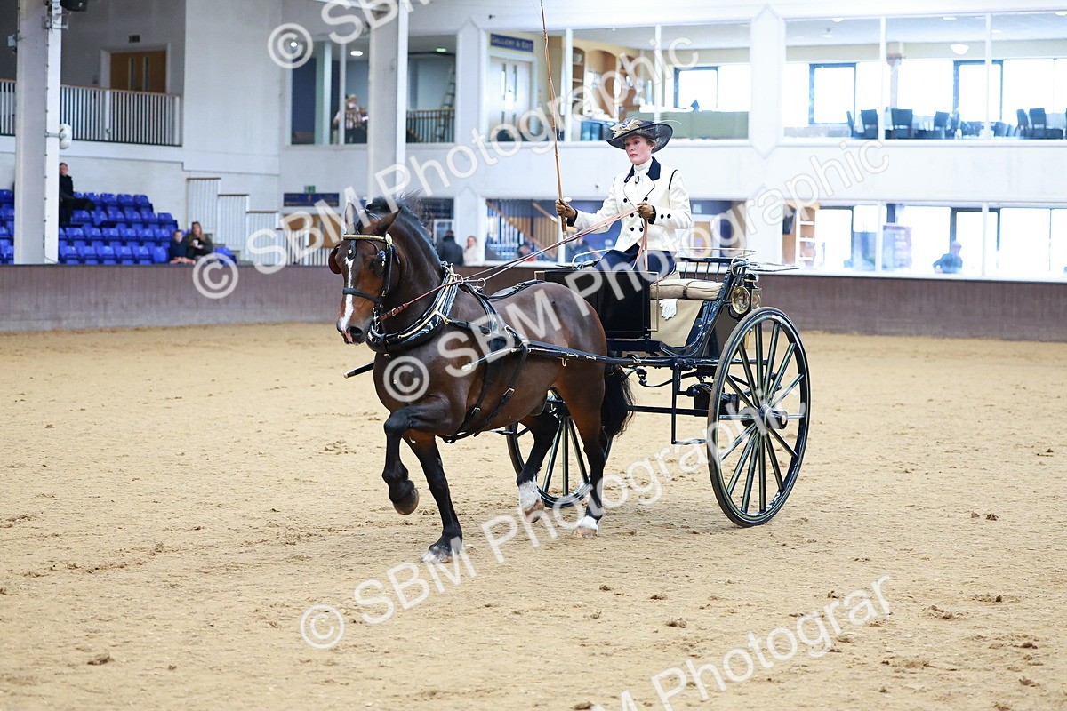 SBM_000121 - Class 3 - Alison Thomas Memorial Lady Whip