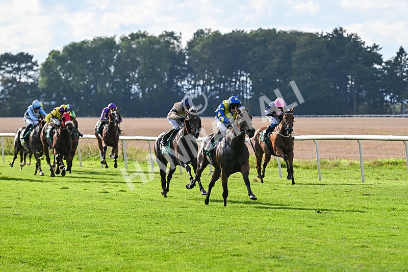 140926-Race 5-Mo Anam Chara-7498 - Race 5 4.21pm decronhorsecare.co.uk Handicap