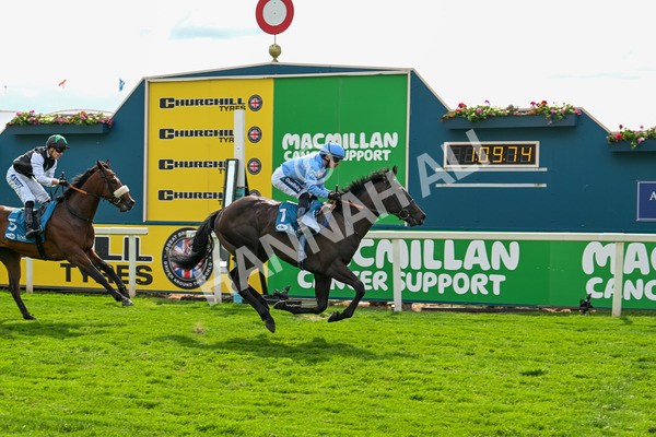 140625-Race 5-Egoli-3103 - Race 5 4.10pm Reg Griffin Appreciation EBFstallions.com Maiden Stakes