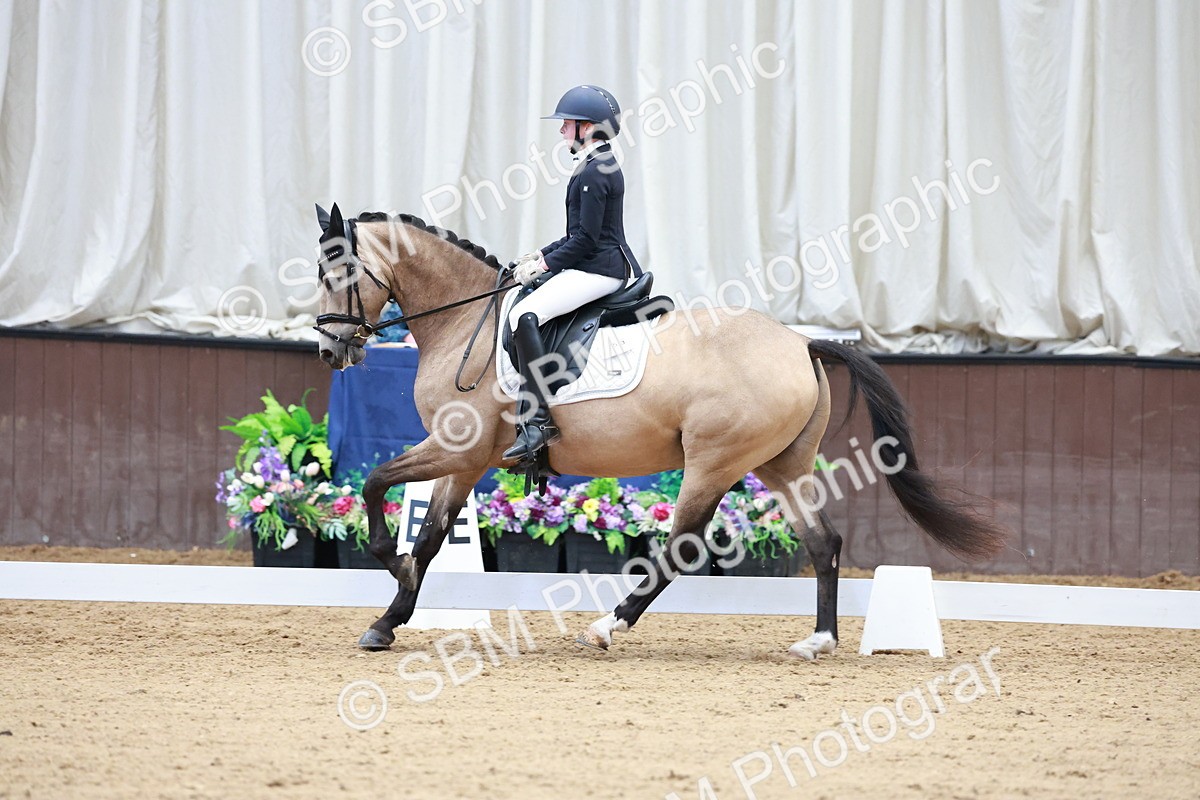 SBM_017234 - Class15 - FEI Pony