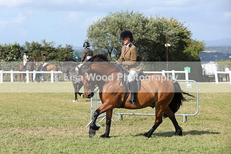 1X9A6003 - Class 42: NPS Dales, Fell, Highland