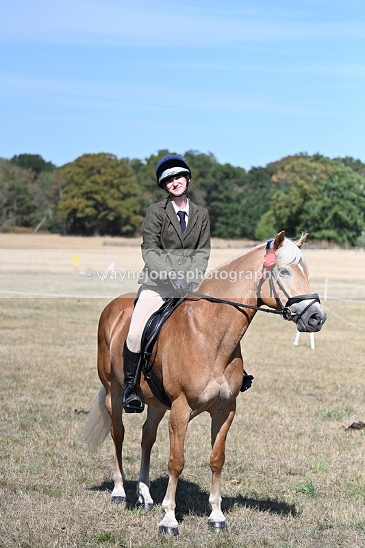WJ7_1313 - Class 41 Prettiest Mare