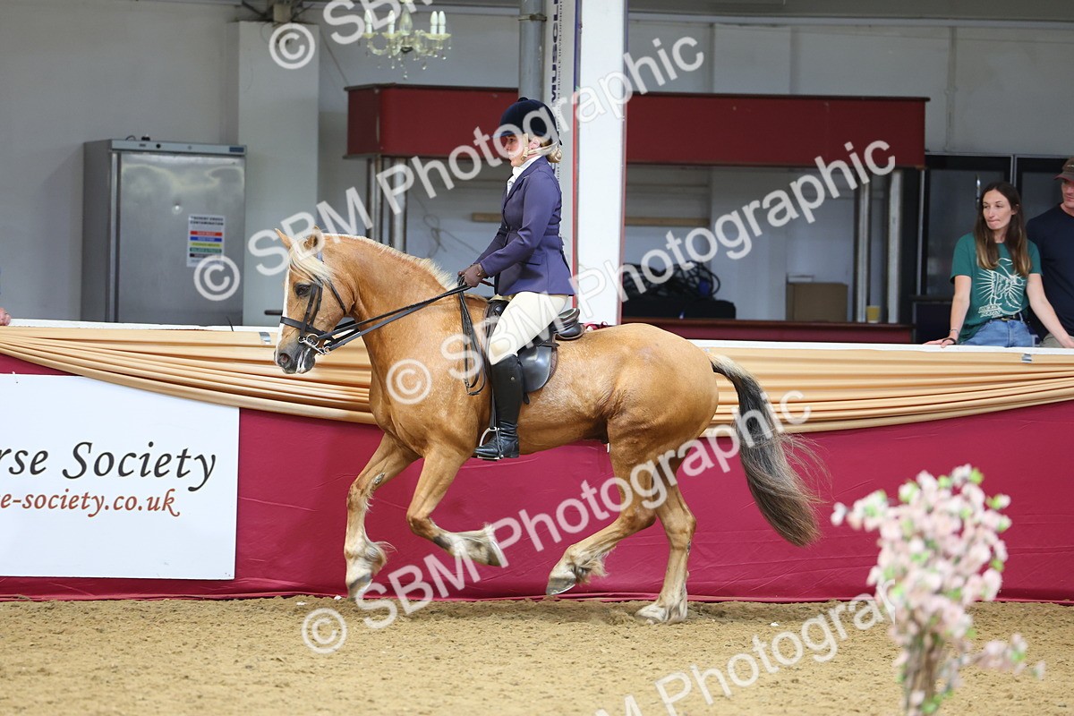 SBM_23556 - Class 904 - Supreme Final Ridden Diamond