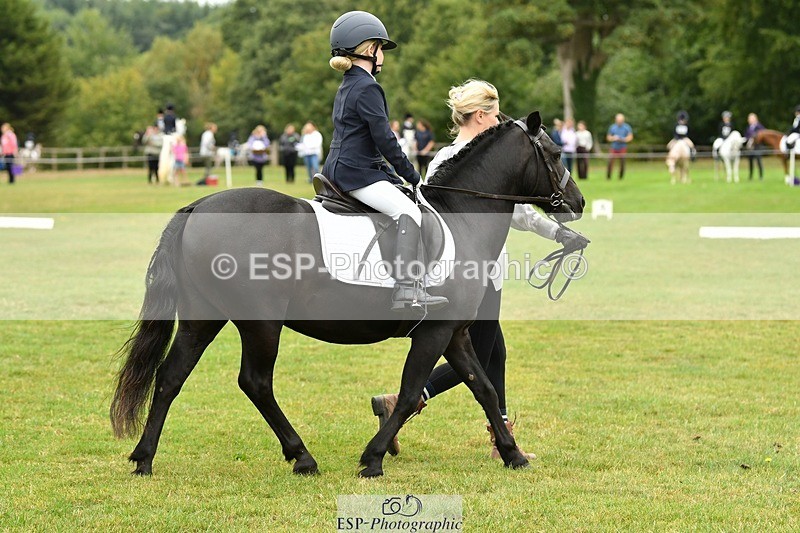 250820A-104819-04754 - Start to 11am