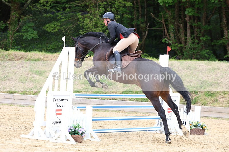 3E7A6164 - Class 4: Senior British Novice/90cm open