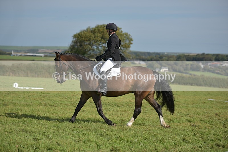 RAY_8027 - Class 2B: Trekenning Open: Dressage