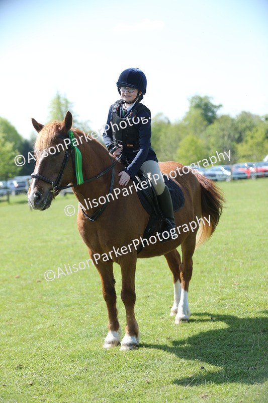 20250427-1836 - Class 2 - Mini Jumping 30cm