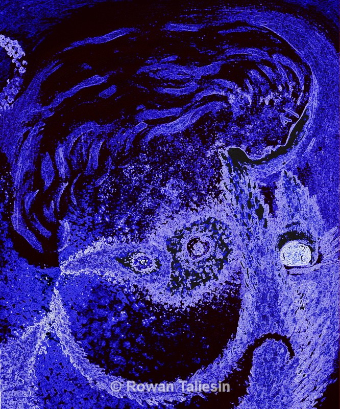 Blue Angel © Rowan Taliesin 2009 - MY JOURNEY AS AN ARTIST