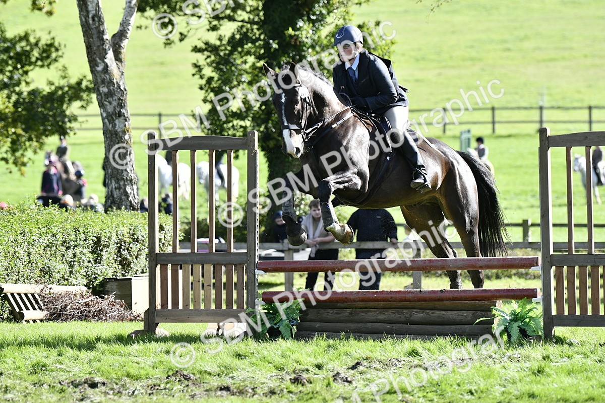 SBM_50046 - S34 - Novice & Newcomers Working Hunter