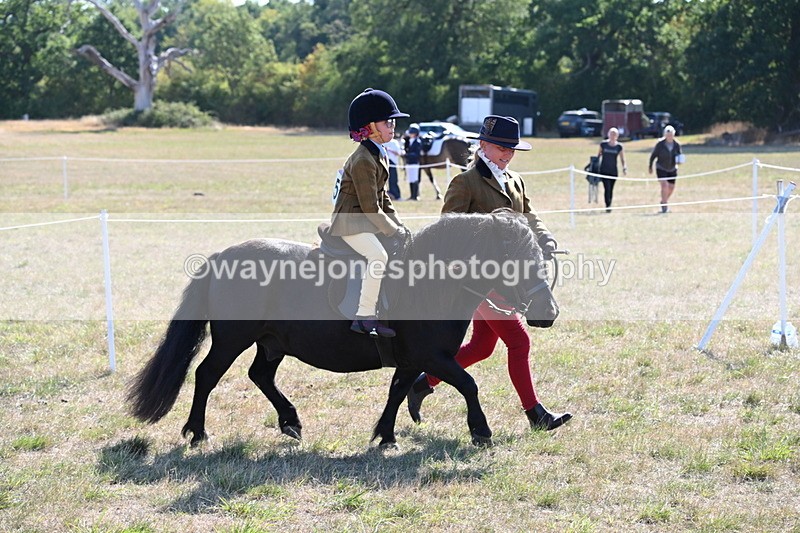 WJ6_7443 - Class 34 Judges Choice