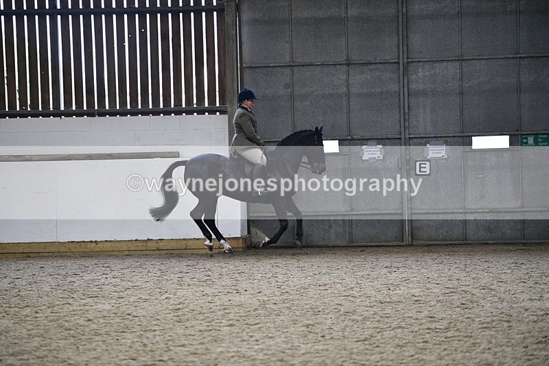 WJ5_7830 - Class 13 Ridden Part Breed