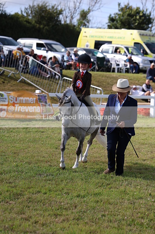 3E7A3930 - Supreme Championship