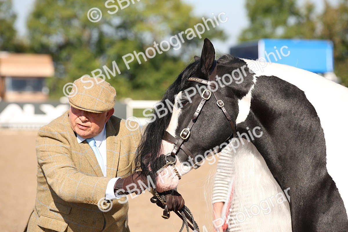 SBM_01531 - Class 15 IH Coloured