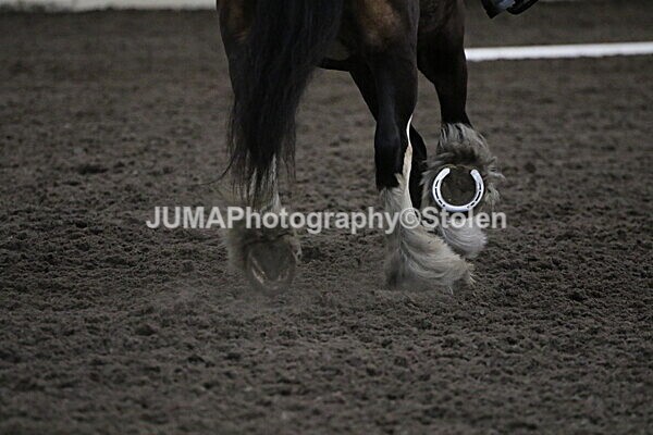 SIAL4343 - CAbin Dressage 5th july 2025