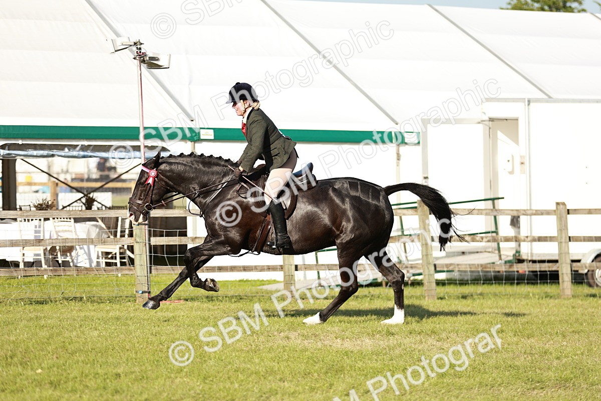 SBM_20113 - Class 115-116 - LIHS BSHA Rising Star Working Hunter & Show Horse