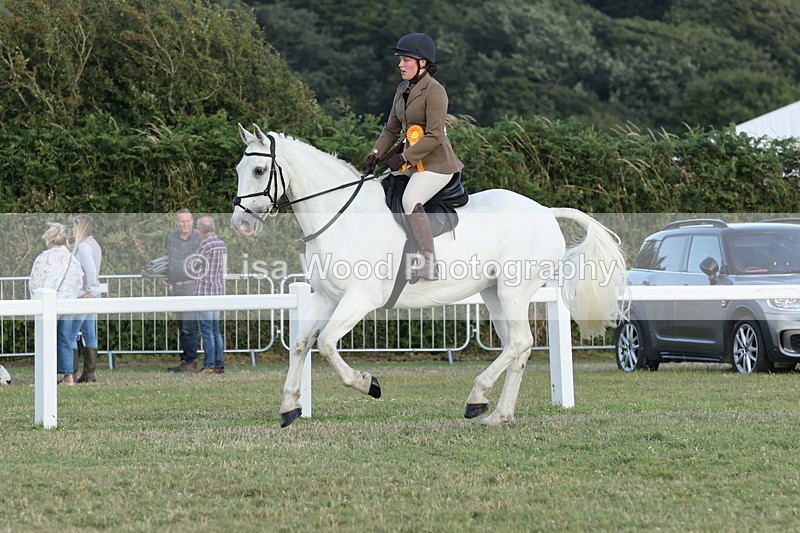 JPP_3727 - Class 24: Open Working Hunter