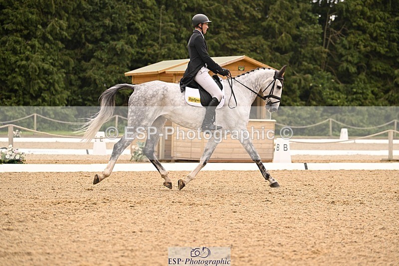 000101-215835-04507 - 404-DEERPAIRC_REVELRY-Max_Warburton