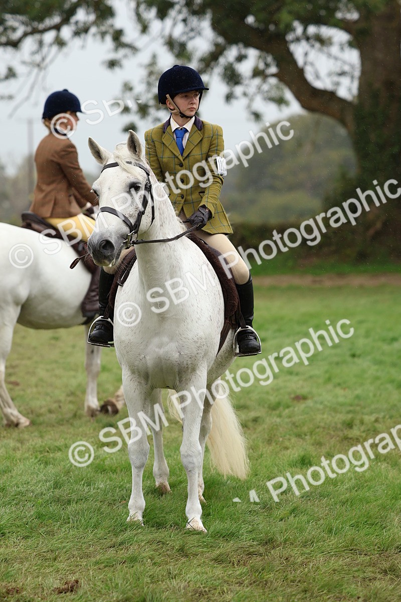 SBM_69591 - S62 - Mountain & Moorland Ridden Large Breeds