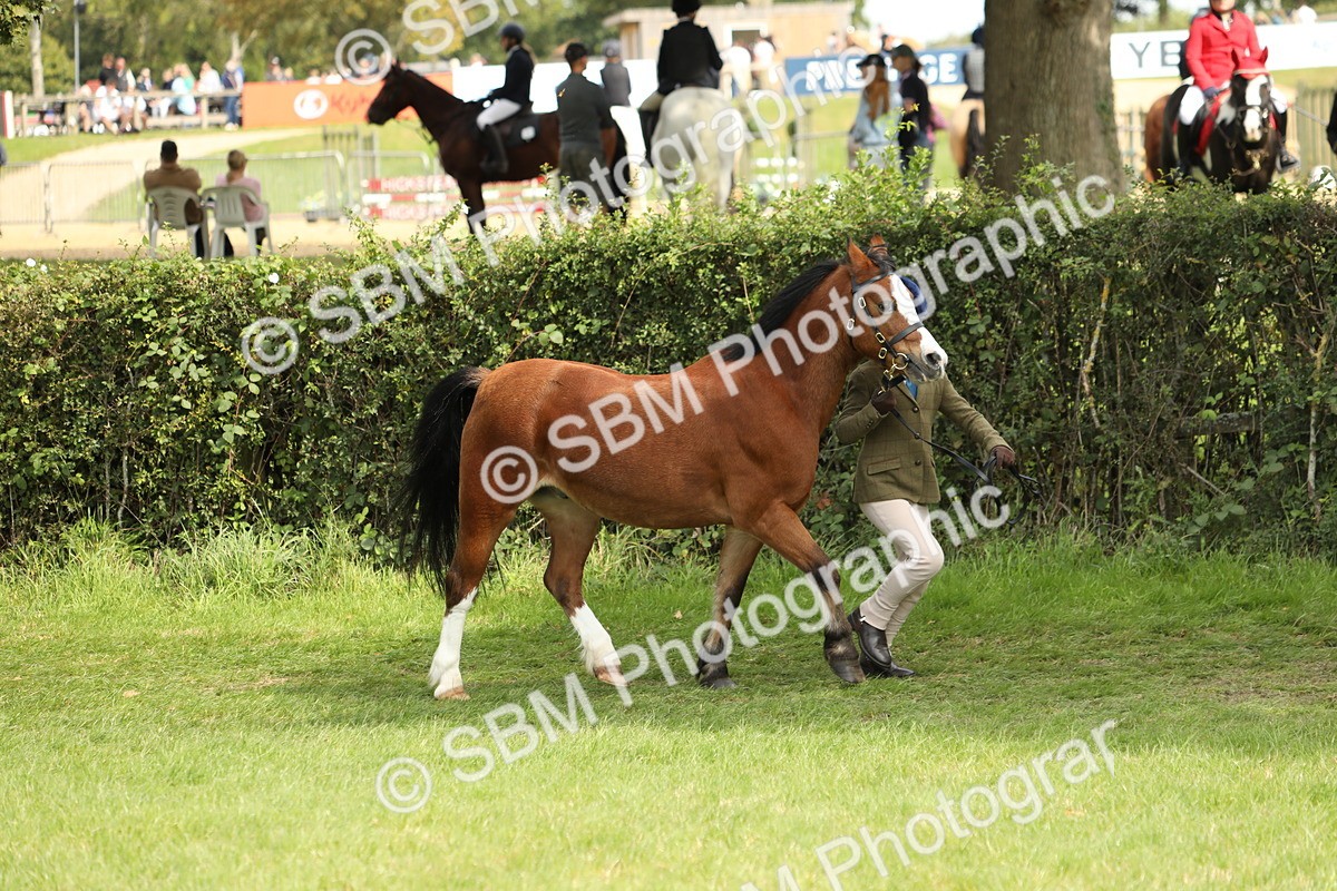 SBM_67720 - S39 - Junior Handler 8  Years & Under