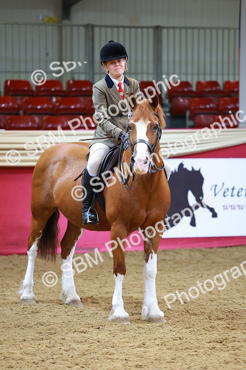 SBM_00792 - Class 6A - Ridden Pre-Vet