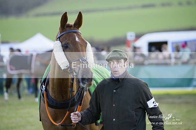 PtP 300122 595 - South Dorset Hunt - Point-to-Point Races 30/01/2022