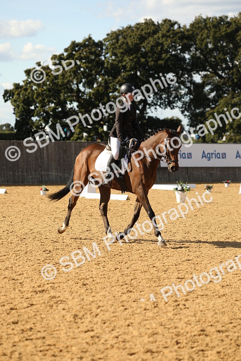 SBM_26812 - D17 - Grand Tour Championship - Novice 27