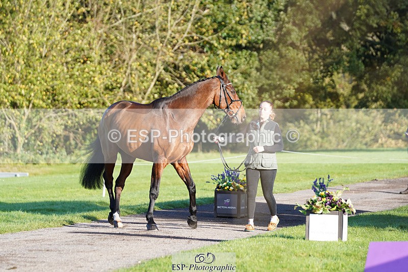 241026-100116-11540 - 008-Charlie.Piper-ZADOK.D