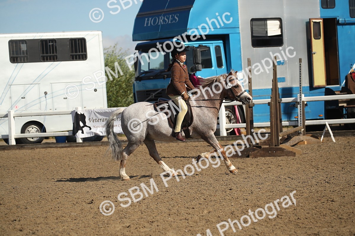 SBM_12712 - Class 504b - Junior Working Veteran - 40cm (20+)