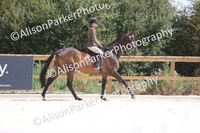 20260802-0711 - Class 8 - Best Riding Horse or Pony