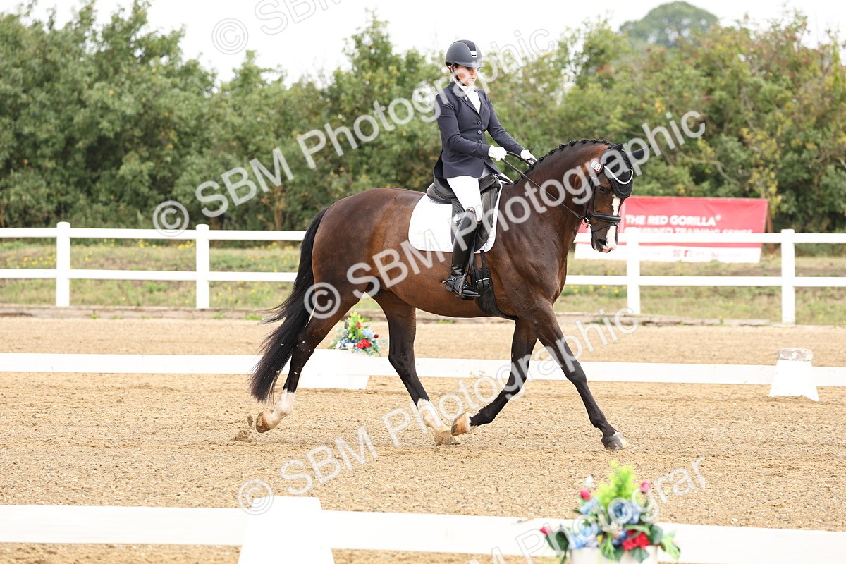 SBM_005493 - Class 6 - Novice 6 - 9.30-10.12