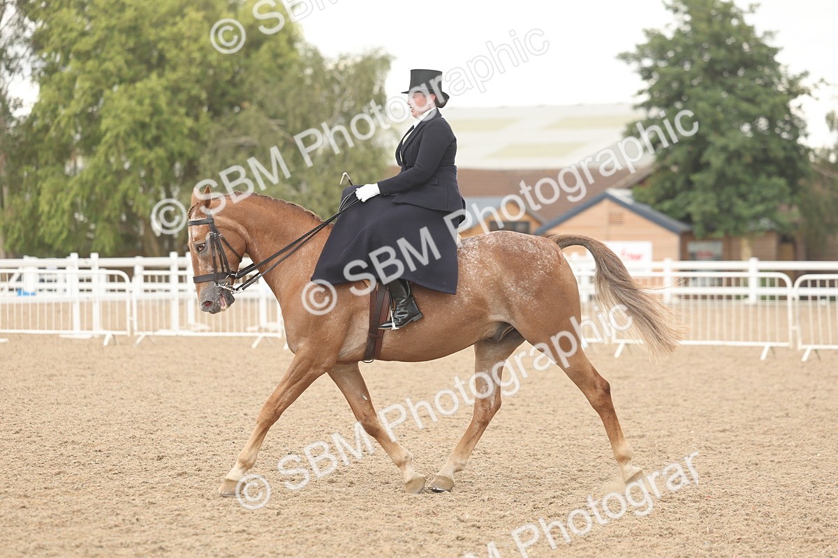 SBM_06328 - Class 23 - SSA - Classical