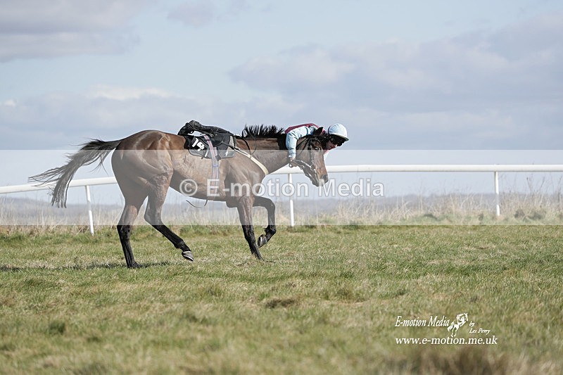 PtP 260223 492 - South & West Wilts Point-to-Point Larkhill 26/02/23