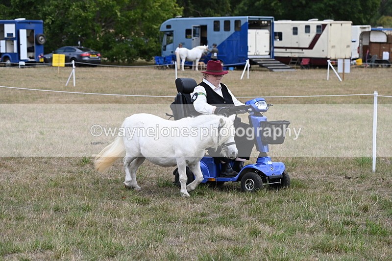 WJ6_6007 - Class 19 In-hand Veterans (Uploaded correct folder)