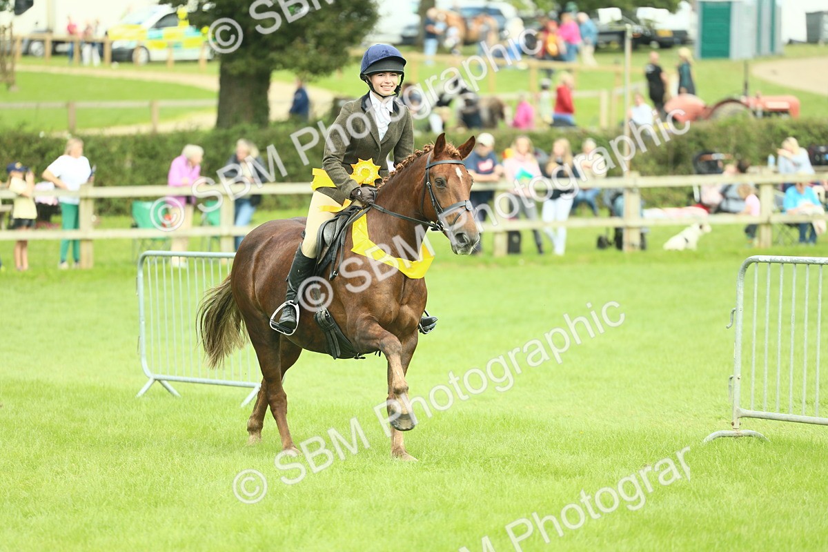 SBM_42245 - S29 - Novice & Newcomers Working Hunter Pony
