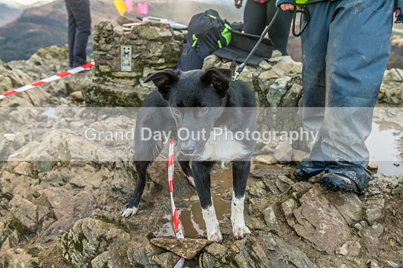 Loughrigg-5 - Loughrigg Fell Race Wednesday 12th April 2023