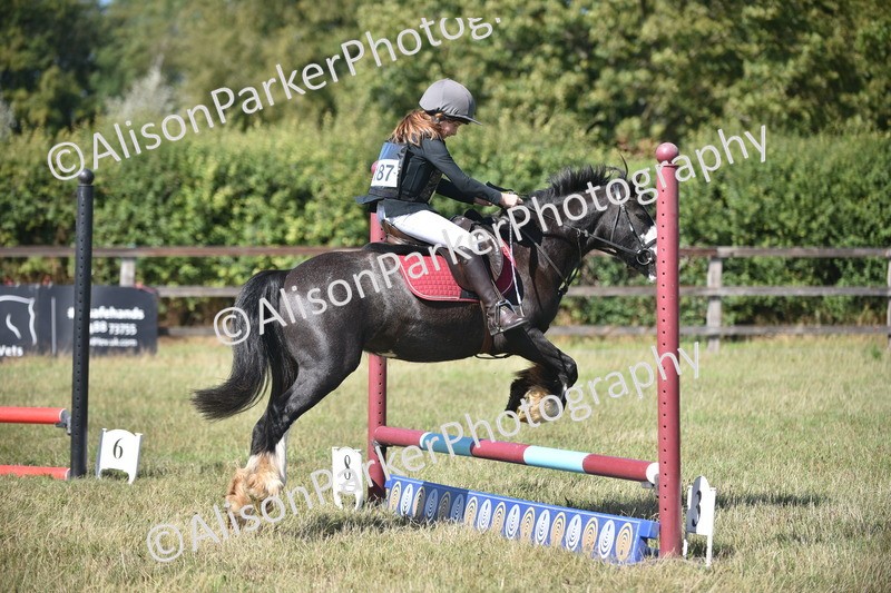 20260906-1691 - Class 9 - Absolute Novice Jumping 45cm
