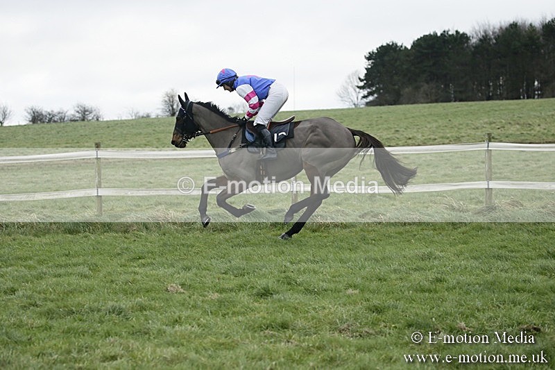 PtP 031217 565 - Hursley Hambledon Point-to-Point Larkhill 03/12/17