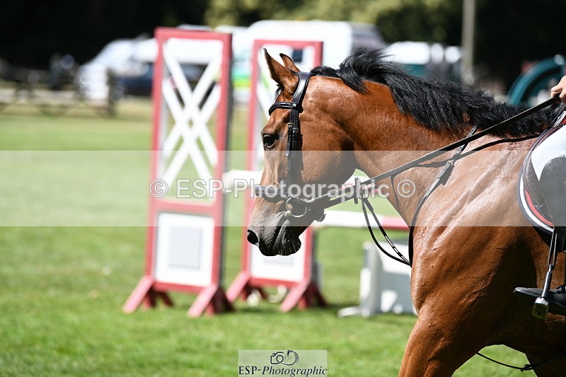 250703A-104542-00544 - Cls 11 5 Year Old