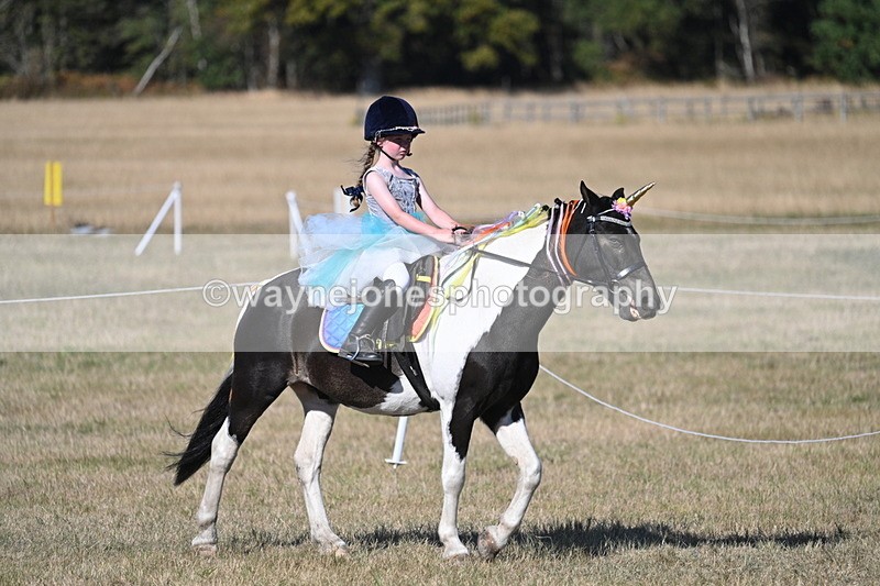 WJ7_2810 - Class 45 Fancy Dress (My Fav)