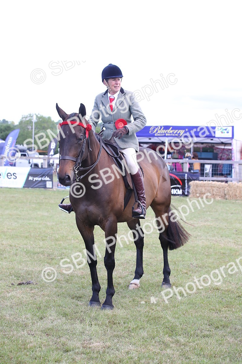 SBM_13274 - Class 95-96 - LIHS BSHA Rising Star Hack Riding Horse