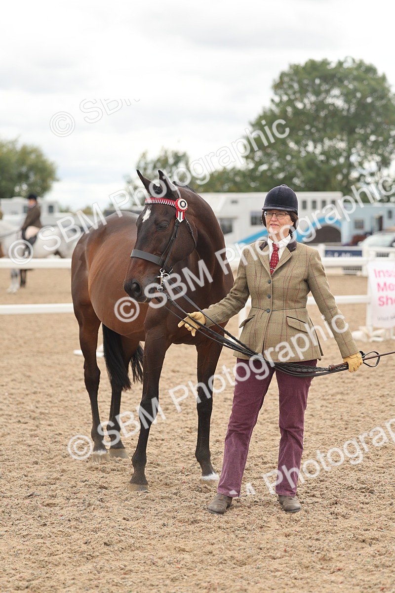 SBM_17096 - Class 313 - IH Retired Racehorse