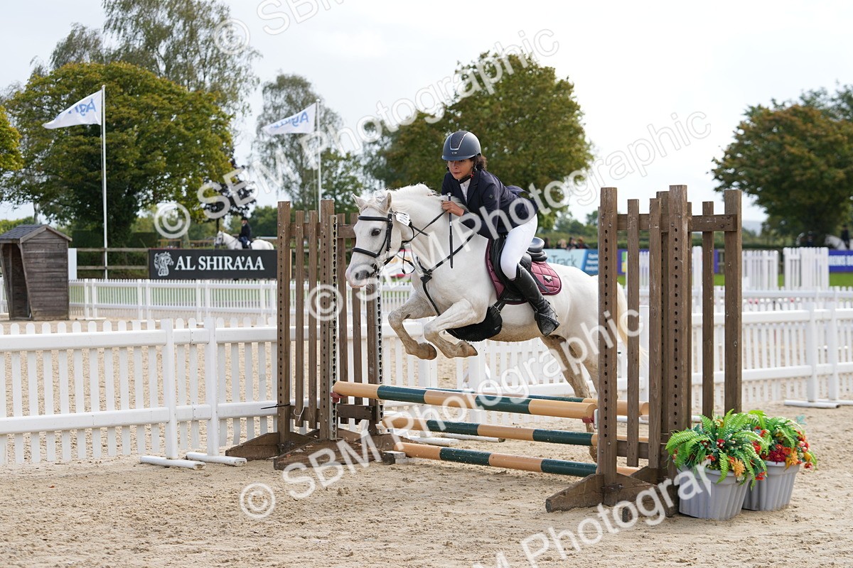 SBM_40802 - Supreme Championship Pony 50-55cm