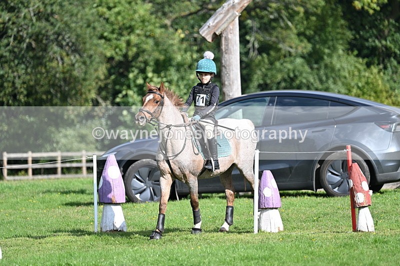 WJ7_4954 - 60cm Time 11:11 to 11:19