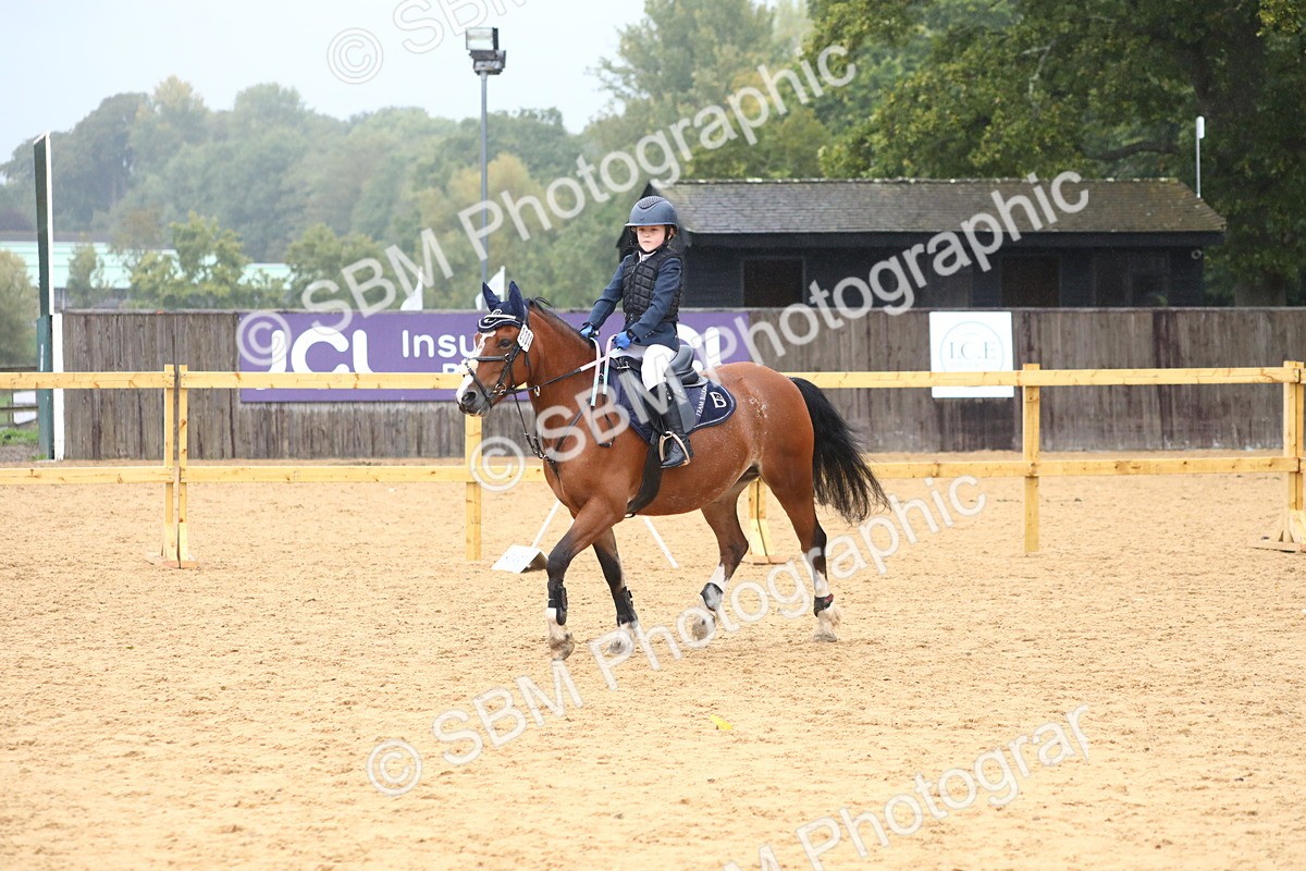 SBM_71635 - J4 - Mini Tour Junior Pony 45cm Championship