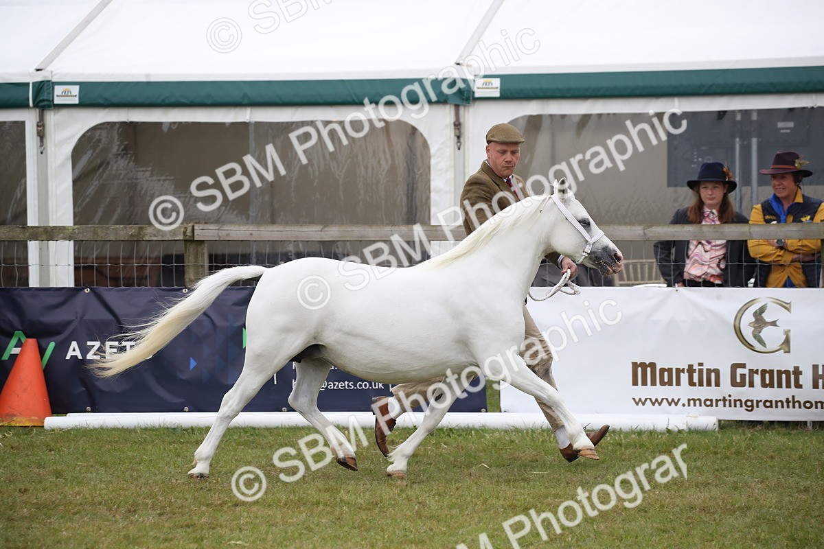 SBM_09777 - Ch 50 - Price Family Supreme In Hand